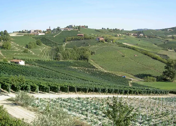 Vecchio TorchioAgriturismo